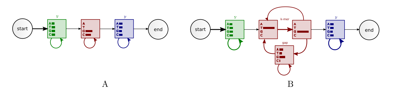 Two sHMM structures: a three-state C/G track model and a dinucleotide TG track model.